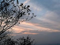 -杭州半山国家森林公园