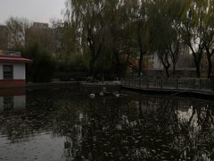-丰台花园