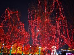 -杨柳青古镇