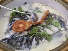 -全乐鱼馆·淳牌有机鱼直营店