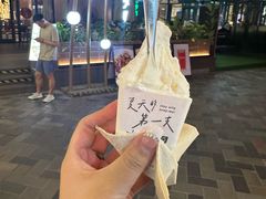 -野人先生现做冰淇淋(北京顺义祥云小镇店)