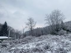 -武陵山森林公园