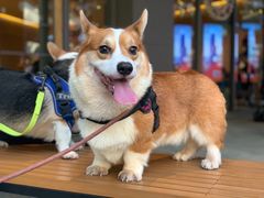-星巴克(南宁华润幸福里店)