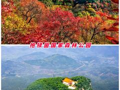 -台儿庄古城