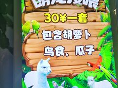 -大连圣亚海洋世界