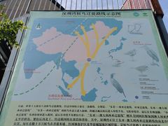 -华侨城湿地公园