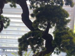 -苏淮景·苏闽融创菜·海鲜(原空港井河轩店)