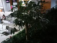-上海南站