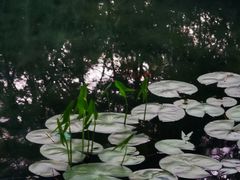 -云岗森林公园