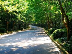 -紫金山天文台