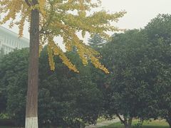 -明故宫遗址公园