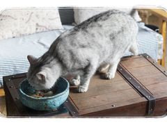 -不舍昼夜咖啡馆