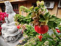 -福州开元寺