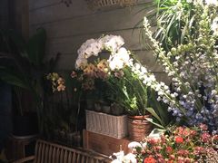 -春暖花开(西溪店)