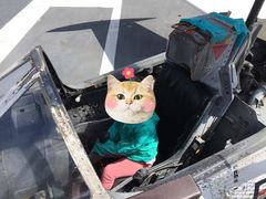 -中途岛号航空母舰博物馆