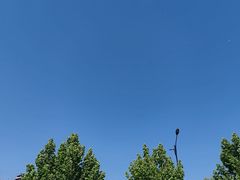 -山东大学(软件园校区)