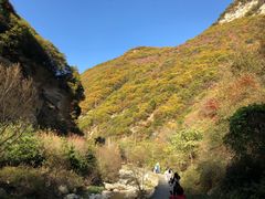 -少华山国家森林公园