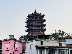 -小秋水饺(大成路总店)