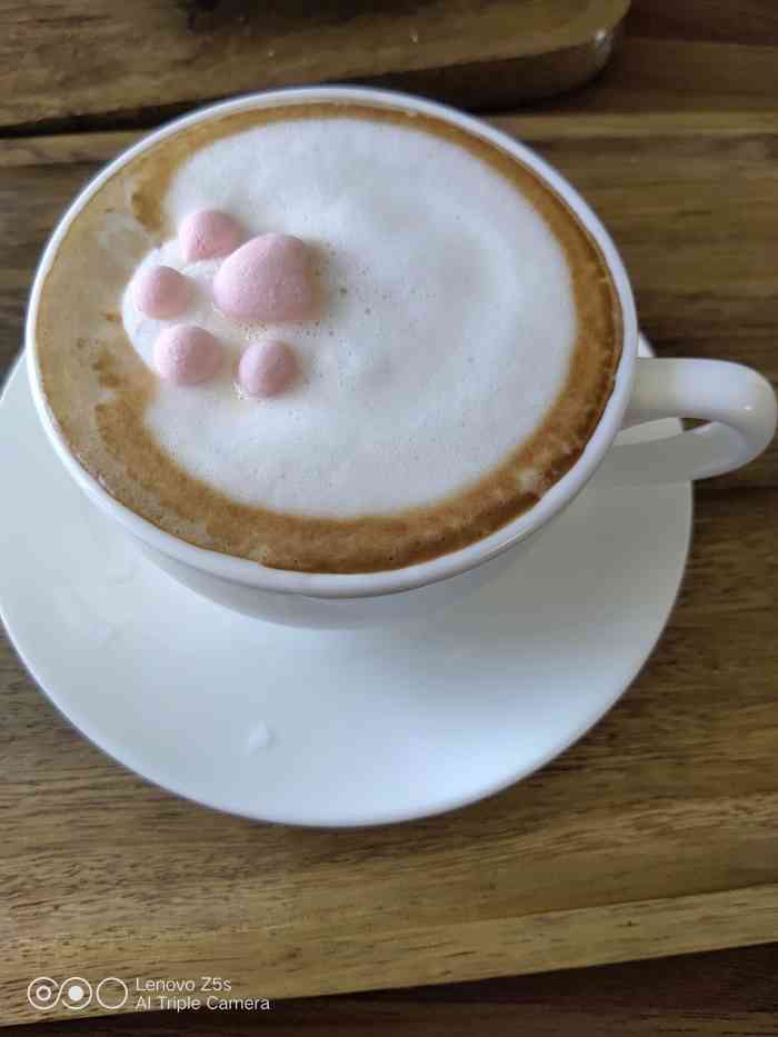 打分 有趣的猫咖,有趣的猫咪,有趣的猫爪咖啡