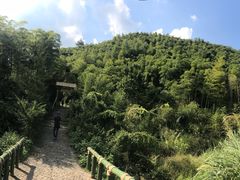 -天下银坑