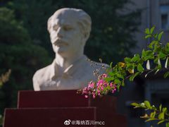 -山东大学(趵突泉校区)