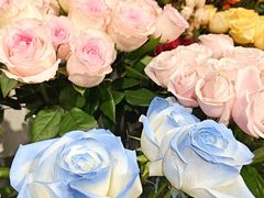 -FEI FEI FLOWER鲜花店·气球派对·宝宝宴布置(虹口德必运动Loft店)