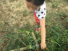 -乡乐园蟹庄·阳澄湖农家乐