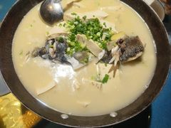花鲢鱼头汤-古道村落(温汤店)