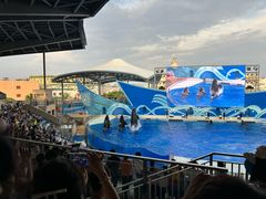 -上海海昌海洋公园