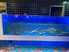 -花西亭·海鲜自助餐厅(瑞城名人酒店)