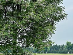 -汉长安城未央宫国家考古遗址公园