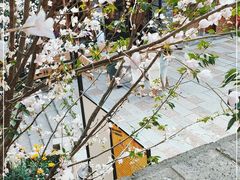 -重庆十八梯传统风貌区