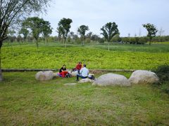 -汉长安城未央宫国家考古遗址公园