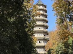 -灵谷景区