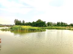 -潇河湿地公园