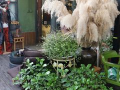 -出走咖啡·面包(宋庄店)