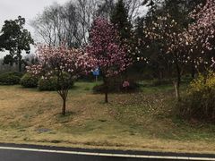 -宜兴龙背山森林公园