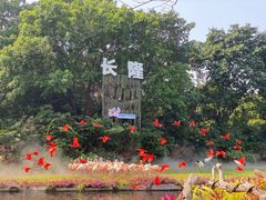 -广州长隆飞鸟乐园
