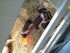 android_upload_pic-万达广场(南京江宁店)