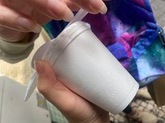 -洪馨椰子
