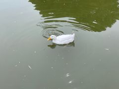 -团结湖公园