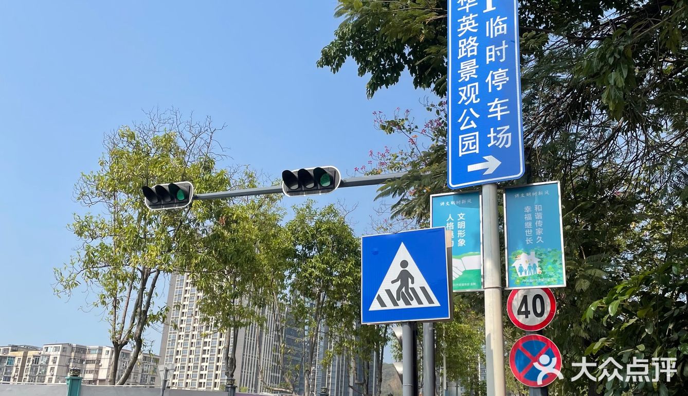 樱花已谢，游乐园永存