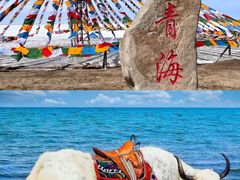 -青海湖国家重点风景名胜区