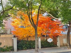 -岁福祥老母鸡汤面馆(阳曲路店)