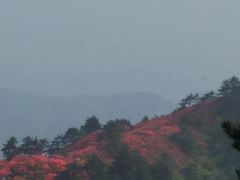 -木兰云雾山