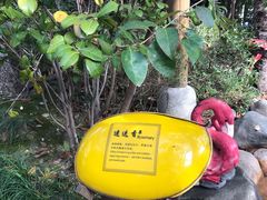 -张家港金凤凰度假村温泉