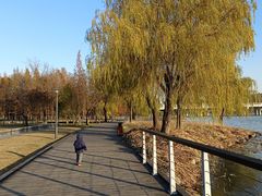 -蠡湖大桥公园