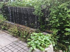 -野蔓果·山野菜(西湖景区·龙井茶田店)