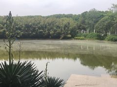 -河南省黄河迎宾馆