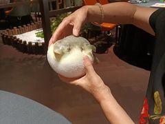 -肆月河豚·淮扬菜·湘菜(华天店)